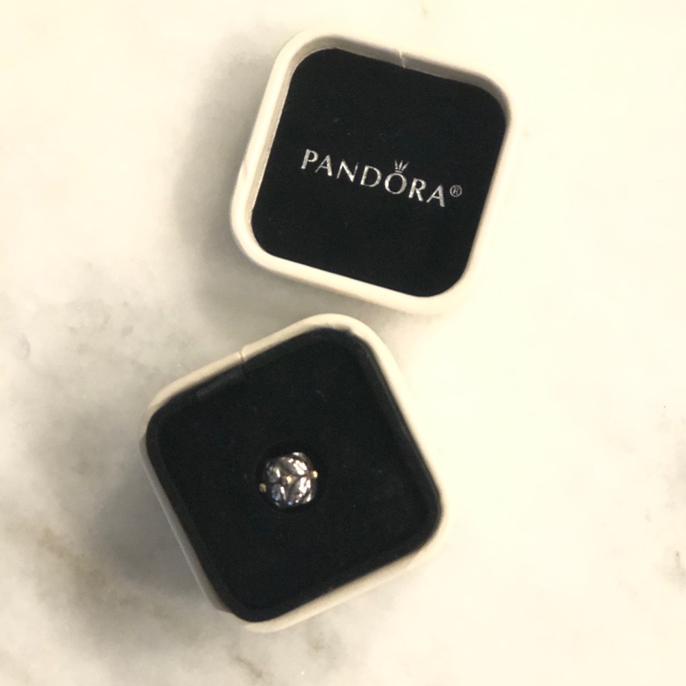 Pandora Holly Charm